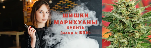 стаф Богородск