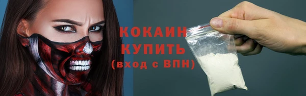 стаф Богородск
