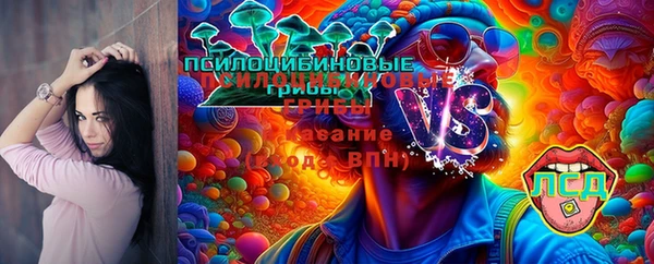 mdma Богданович