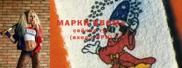 стаф Богородск