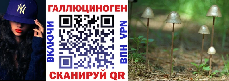 Псилоцибиновые грибы Cubensis  Медногорск 